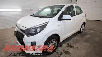 Vrakbiler auto Kia Picanto Picanto (JA), Hatchback, 2017 1.0 DPi 12V 2023/6