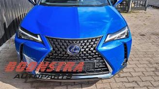 Lexus UX UX, SUV, 2019 250h 2.0 16V picture 20