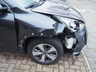 Kia Niro 1.6 firs edition hybrid picture 13