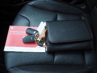 Kia Niro 1.6 GDI Hybrid ExecutiveLine picture 28