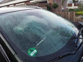 Renault Kadjar 1.3 TCe Black Edition Auromaat picture 12