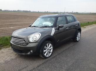 Dezmembrări autoturisme Mini Countryman 1.6d 2012/9