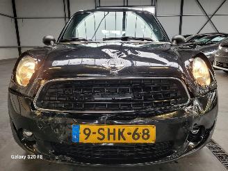 Mini Countryman 1.6 72-KW 6-Bak Chili Panoramadak picture 6