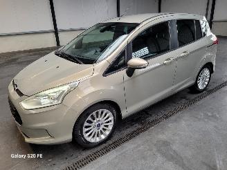 Voiture accidenté Ford B-Max 1.0 EcoBoost 74-KW Titanium 5drs 2012/11