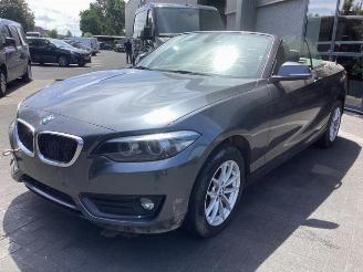 Coche siniestrado BMW 2-serie 2 serie (F23), Cabrio, 2014 / 2021 218i 1.5 TwinPower Turbo 12V 2019/1