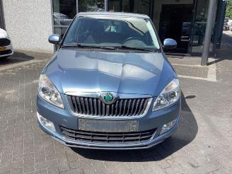 Skoda Fabia Fabia II Combi, Combi 5-drs, 2007 / 2015 1.2 TSI picture 2