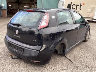 Fiat Punto Evo Punto Evo (199), Hatchback, 2009 / 2012 1.3 JTD Multijet 85 16V Euro 5 picture 5