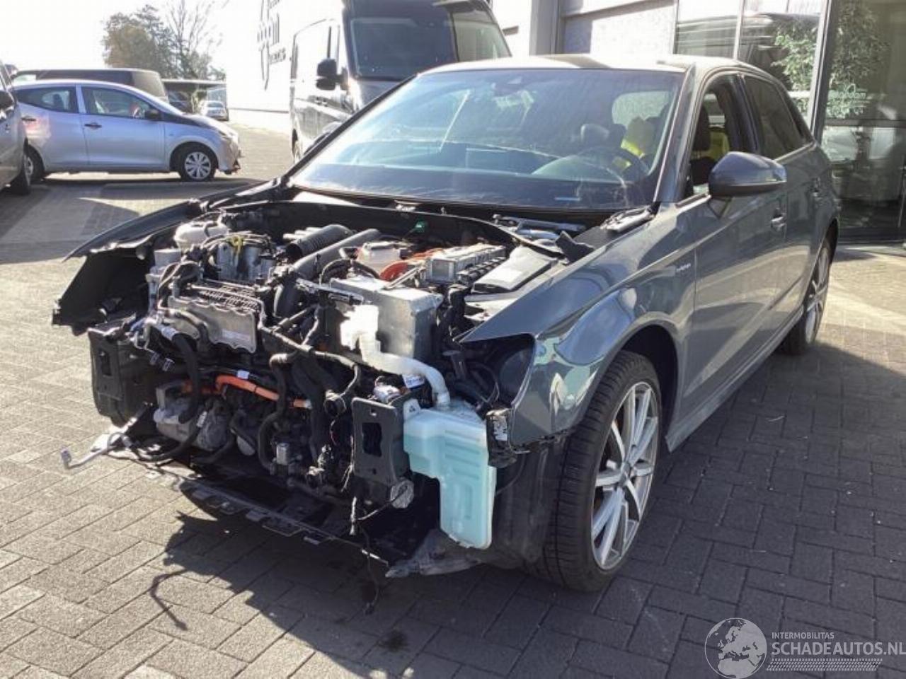 Audi A3 A3 Sportback (8VA/8VF), Hatchback 5-drs, 2012 / 2020 1.4 TFSI 16V e-tron