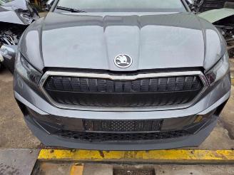 disassembly passenger cars Skoda Enyaq Enyaq iV, SUV, 2021 80 2023/7