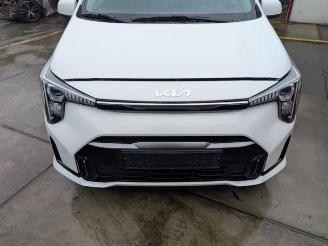  Kia Picanto Picanto (JA), Hatchback, 2017 1.0 DPI 12V 2025/10