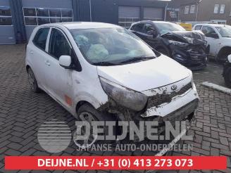 demontáž osobní automobily Kia Picanto Picanto (JA), Hatchback, 2017 1.0 12V 2019/9