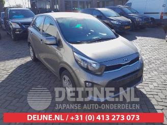 demontáž osobní automobily Kia Picanto Picanto (JA), Hatchback, 2017 1.0 12V 2019/10