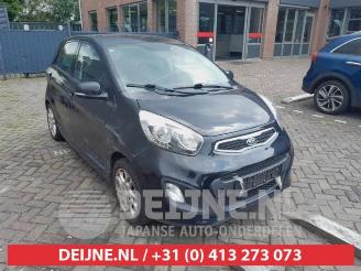 Auto da rottamare Kia Picanto Picanto (TA), Hatchback, 2011 / 2017 1.2 16V 2012/3