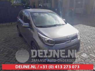 demontáž osobní automobily Kia Picanto Picanto (JA), Hatchback, 2017 1.0 DPi 12V 2020/11
