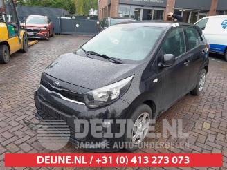 Kia Picanto Picanto (JA), Hatchback, 2017 1.0 DPi 12V picture 3