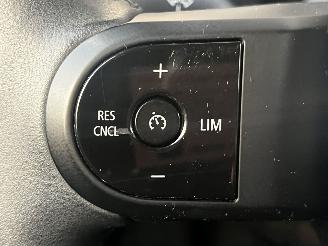 Mini Electric BUSINESS EDITION 33KW / NAVI / CAMERA / CRUISE picture 13