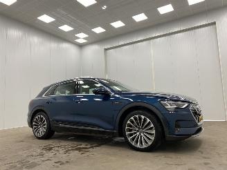 Avarii autoturisme Audi E-tron e-tron 55 Quattro 95 kWh Pano Advanced 2019/11