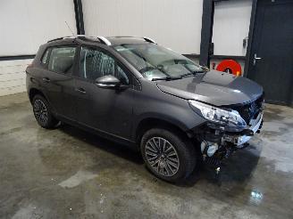 Peugeot 2008 1.2 THP picture 3