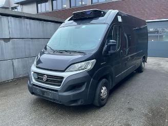 škoda nákladních automobilů Böckmann  Ducato 2.3 2.3 130 Koelwagen 2019/2