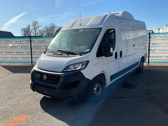 occasione veicoli commerciali Fiat Ducato 2.3 2.3 160 Koel-vrieswagen 2021/7