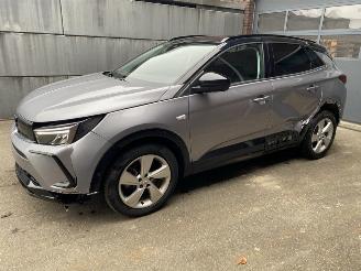 damaged passenger cars Opel Grandland X 1.2 Turbo (96kW) GS Line 2023/6