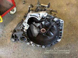 Fiat Punto Punto Evo (199), Hatchback, 2009 / 2012 1.4 picture 8