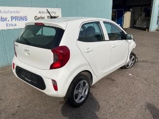 Salvage car Kia Picanto Picanto (JA), Hatchback, 2017 1.0 DPi 12V 2022/10