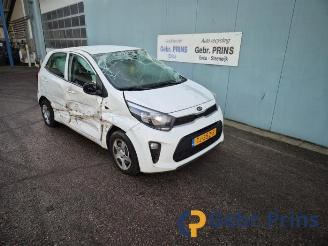Kia Picanto Picanto (JA), Hatchback, 2017 1.0 12V picture 14