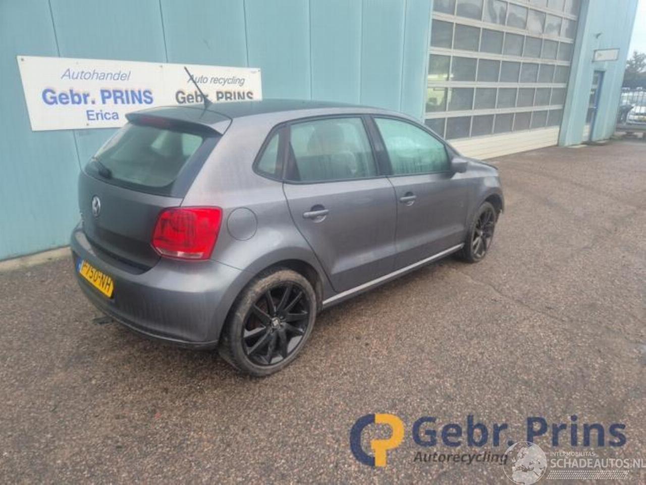 Volkswagen Polo Polo V (6R), Hatchback, 2009 / 2017 1.2 12V BlueMotion Technology