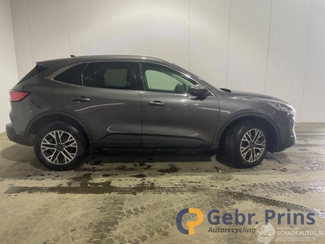 Ford Kuga Kuga III (DFK), SUV, 2019 2.5 PHEV 16V