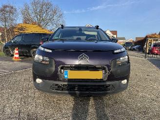 Citroën C4 cactus 1.6 BlueHDi Business picture 2