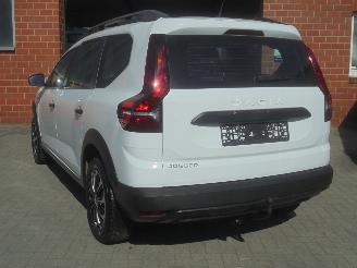 Auto incidentate Dacia Jogger 1.0i Essential LPG Gas / Benzine, Airco, Cruise control 2023/8
