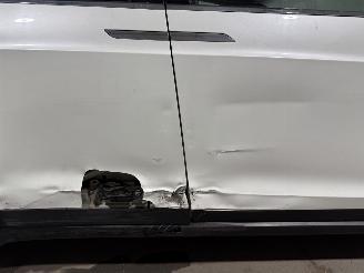 Tesla Model X 100D AWD 100kWh 307kW Pano picture 22