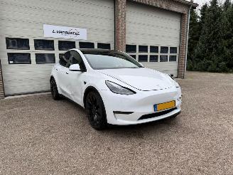 skadebil auto Tesla Model Y AWD 75 kWh Performance Leder Pano 1e Eig NAP 2022/9