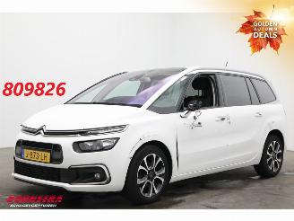 Unfallwagen Citroën Grand C4 SpaceTourer 1.2 PureTech Bns 7-Pers. Navi Clima Cruise Camera PDC AHK 46.725 km! 2020/9