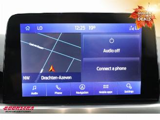 Ford Focus 1.5 EcoBlue Titanium X Clima Navi Camera Virtual picture 30