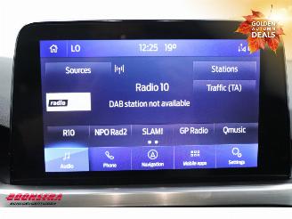 Ford Focus 1.5 EcoBlue Titanium X Clima Navi Camera Virtual picture 31