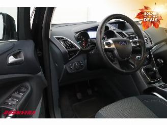 Ford Grand C-Max 1.0 Titanium 6-Pers. Navi Clima Cruise Camera PDC picture 14
