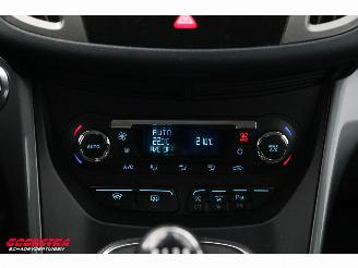 Ford Grand C-Max 1.0 Titanium 6-Pers. Navi Clima Cruise Camera PDC picture 20