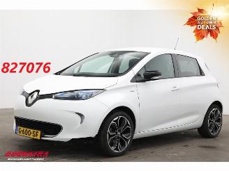 škoda osobní automobily Renault Zoé R110 Limited 41 kWh Incl. Accu! Navi Clima Cruise Camera PDC 2019/4