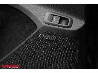 Skoda Enyaq 80 RS LED ACC Memory HUD Pano LRHZ picture 22