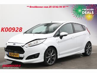 škoda osobní automobily Ford Fiesta 1.0 EcoBoost ST Line 5-DRS Navi Clima Cruise PDC 139.258 km! 2016/8