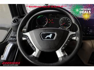 MAN TGS 18.320 Full Air LBW Dhollandia Camera Navi picture 28