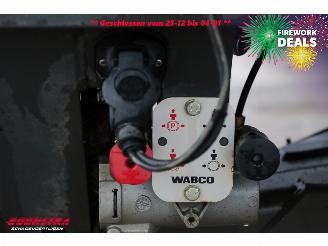   RADIUM 250 Silagewagen Stuuras 41.5m3 BY 2020 picture 27