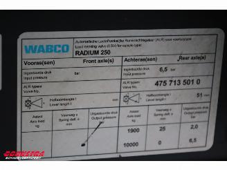   RADIUM 250 Silagewagen Stuuras 41.5m3 BY 2020 picture 22