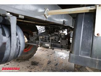   RADIUM 250 Silagewagen Stuuras 41.5m3 BY 2020 picture 18