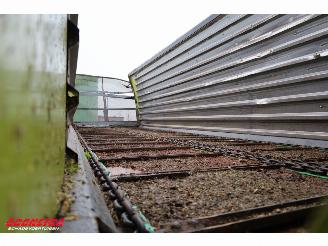  RADIUM 250 Silagewagen Stuuras 41.5m3 BY 2020 picture 32