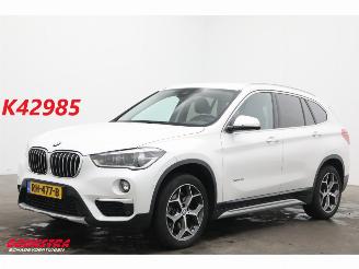  BMW X1 xDrive20i High Executive LED HUD Leder Cruise Camera SHZ 2017/11