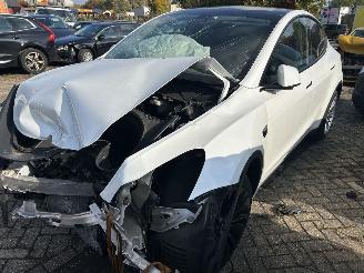 Damaged car Tesla Model Y Standard Range RWD 2023/12
