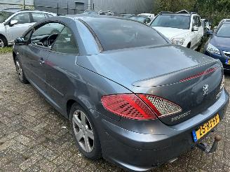 Peugeot 307 Cabriolet 2.0-16V picture 6